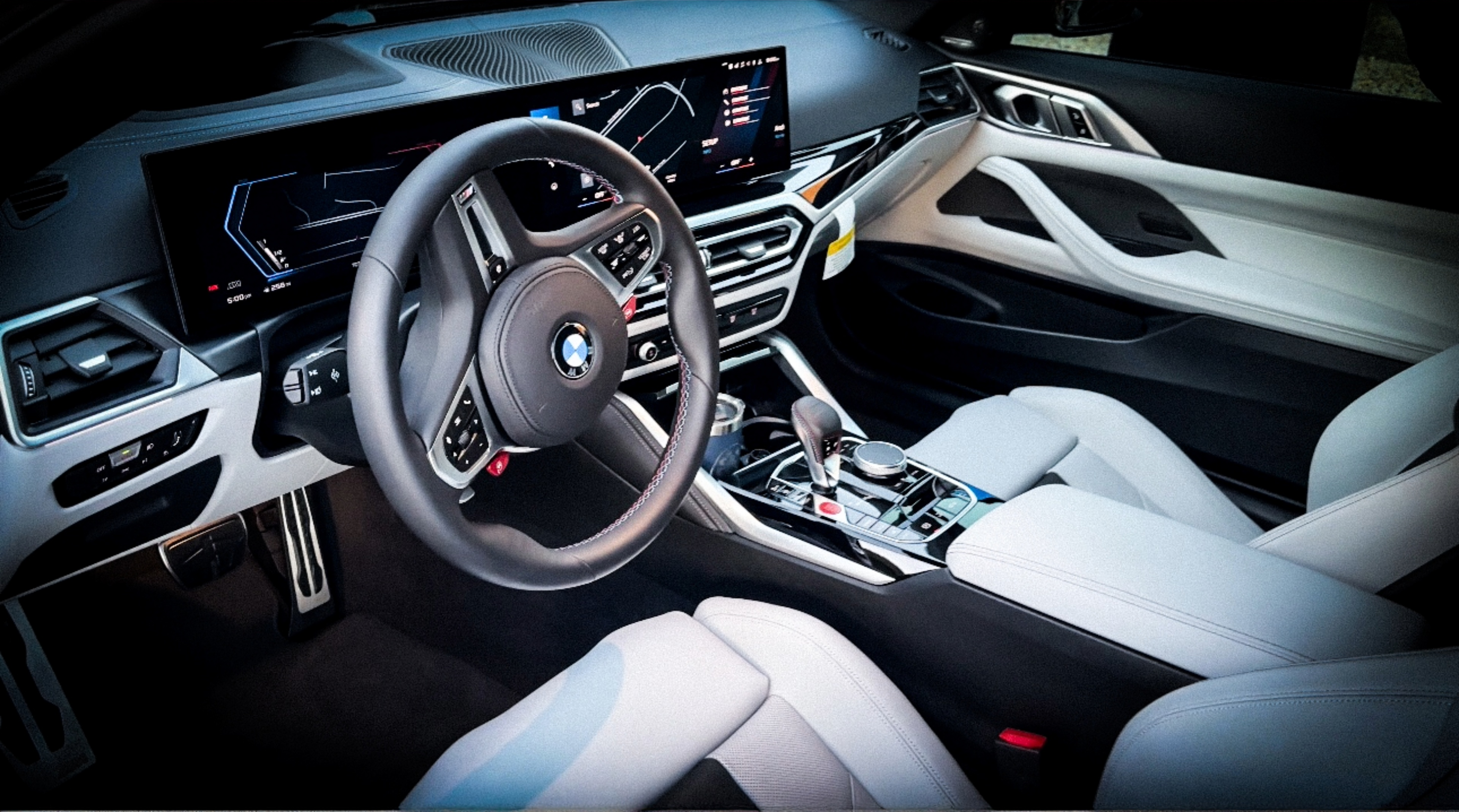 INTERIOR DETAIL with PROTECTANT